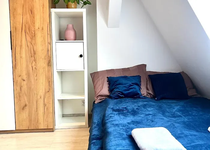 Cosy Studio
